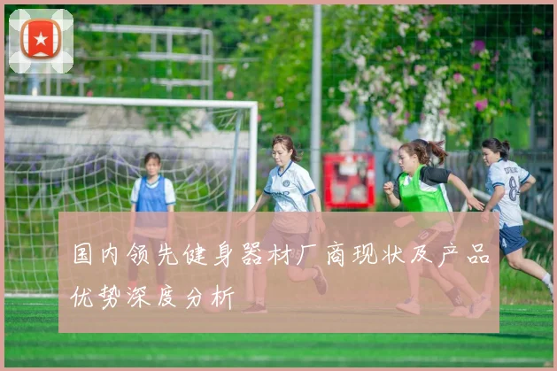 国内领先健身器材厂商现状及产品优势深度分析