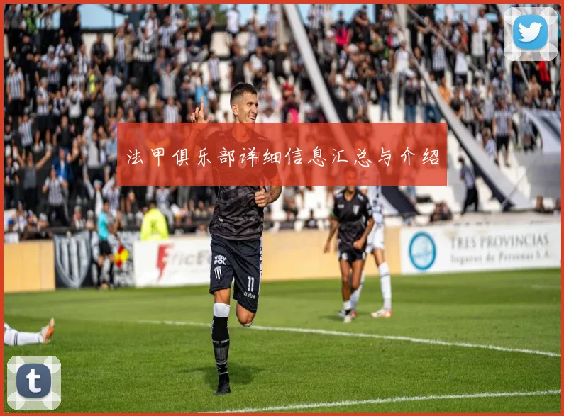 法甲俱乐部详细信息汇总与介绍
